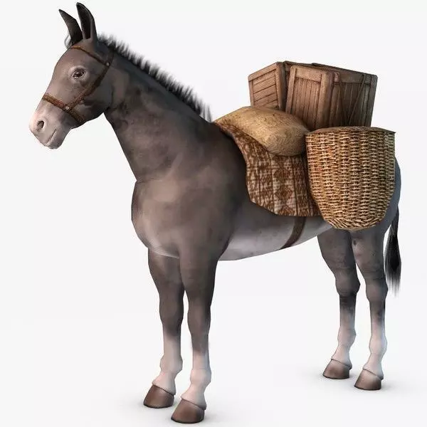 Loaded Pack Donkey 3D model