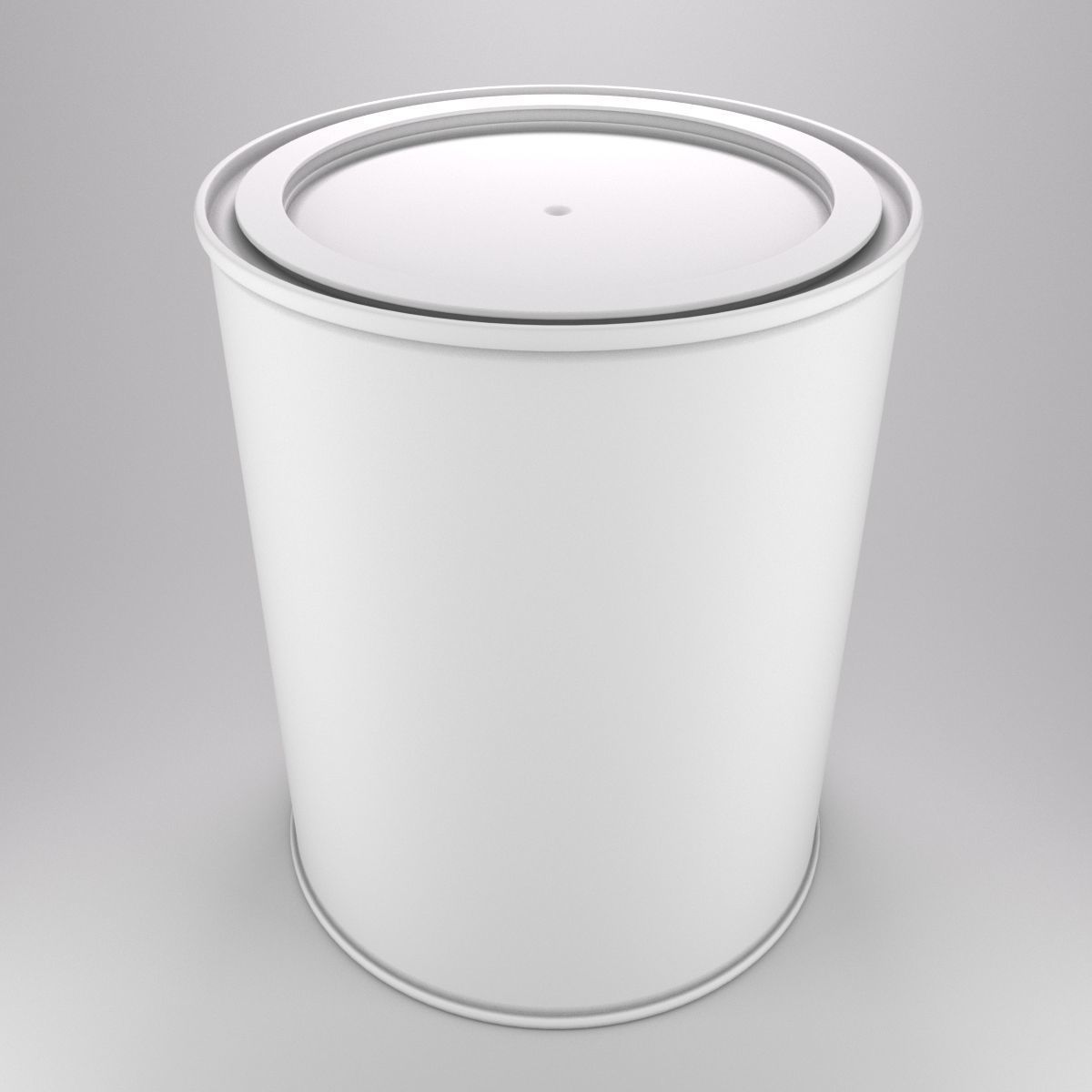 Paint Tin Type 1 3D model_3