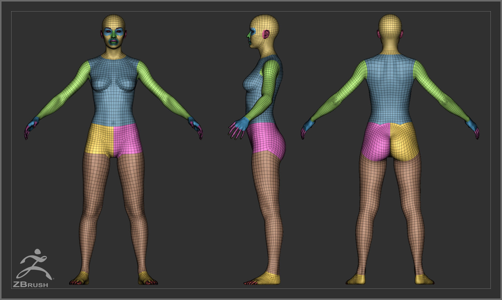 Average Female Body Low Poly Basemesh 3D model_2