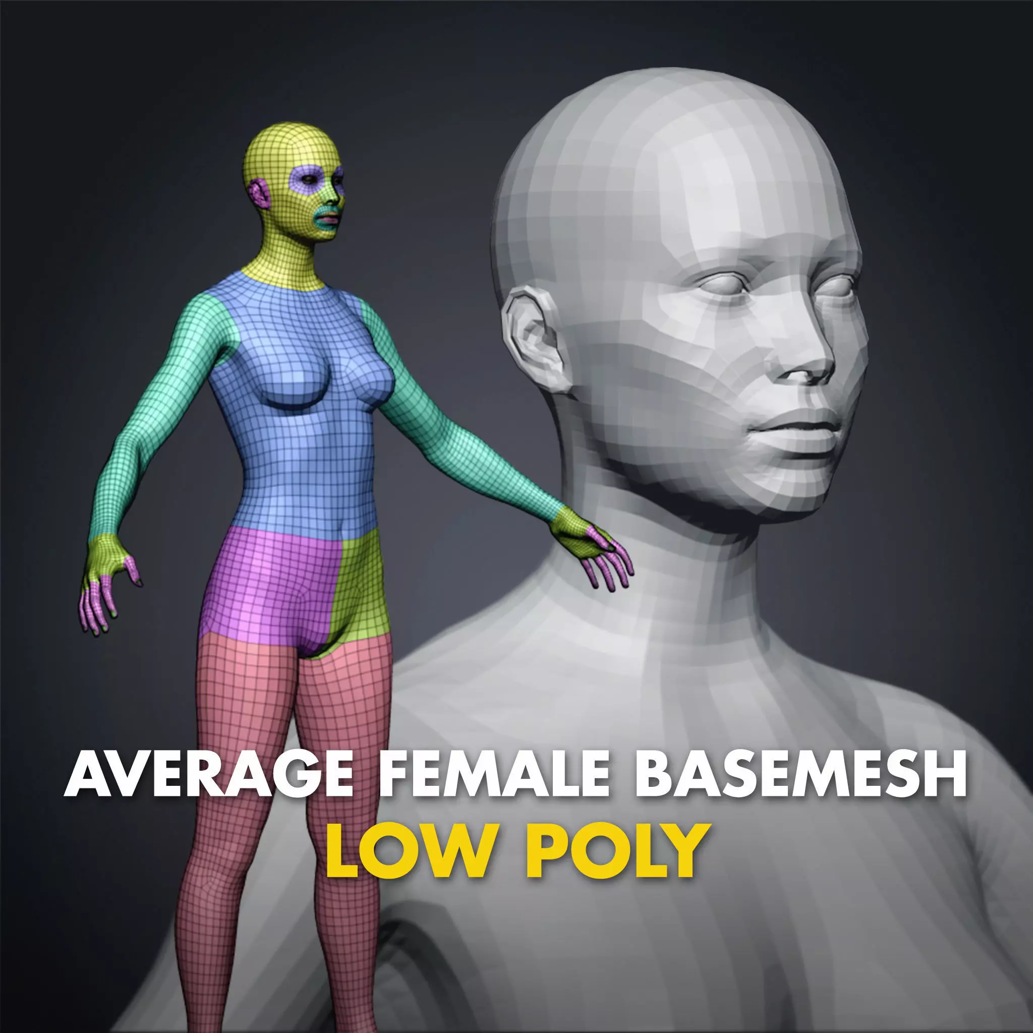Average Female Body Low Poly Basemesh 3D model_0