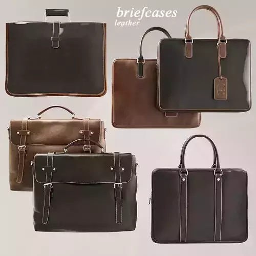 Leather Briefcases 3D model