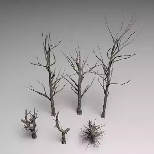 Dead tree 3D model