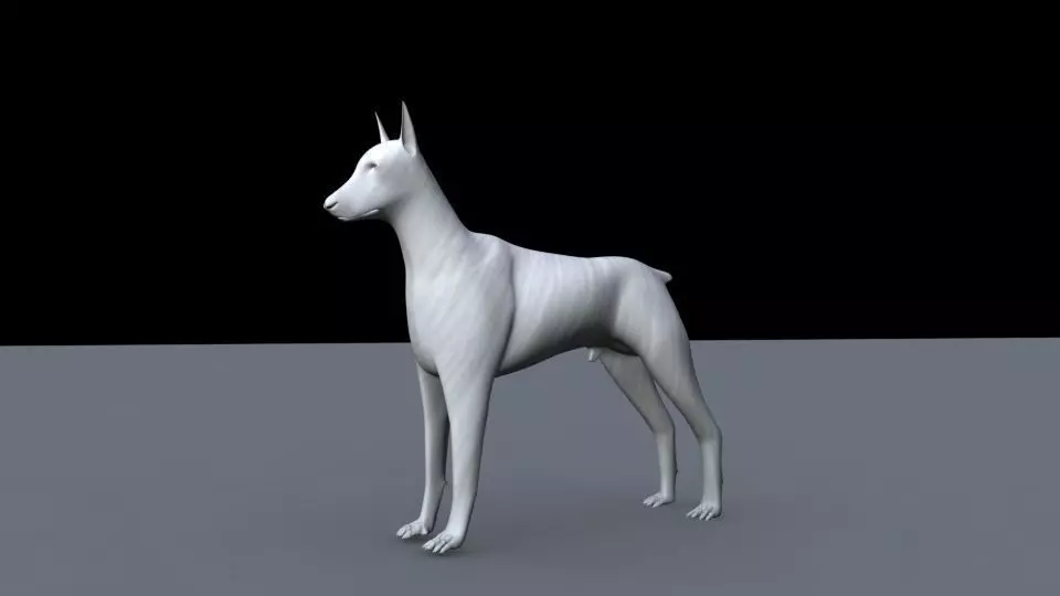 Doberman dog 3D model_0