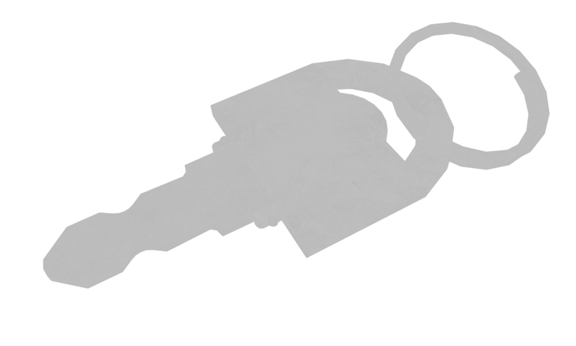 Key chain Free low-poly 3D model_7