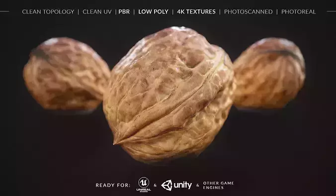 Walnut Fruit - Nut Fruit  - Photoscan  Low-poly 3D model