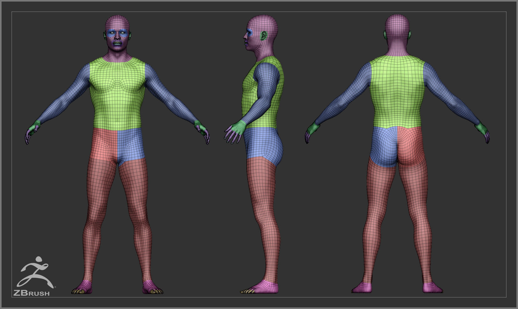 Average Male Body Low Poly Basemesh 3D model_3