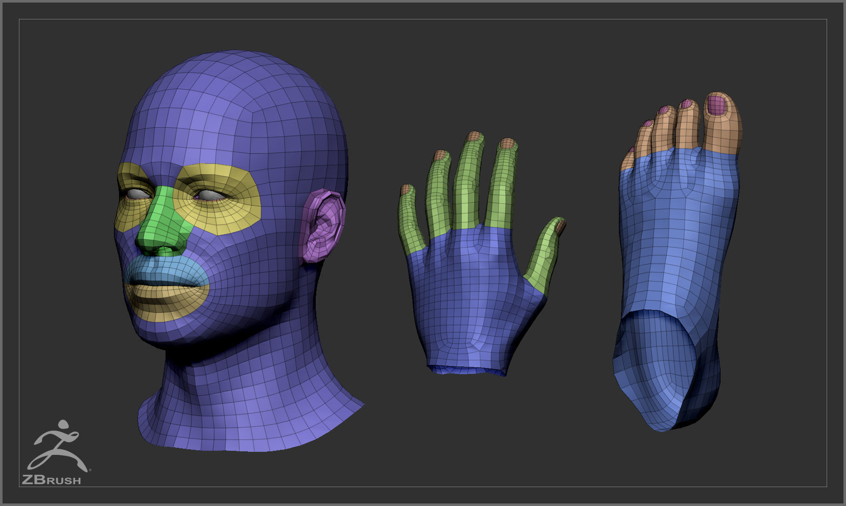 Average Male Body Low Poly Basemesh 3D model_8