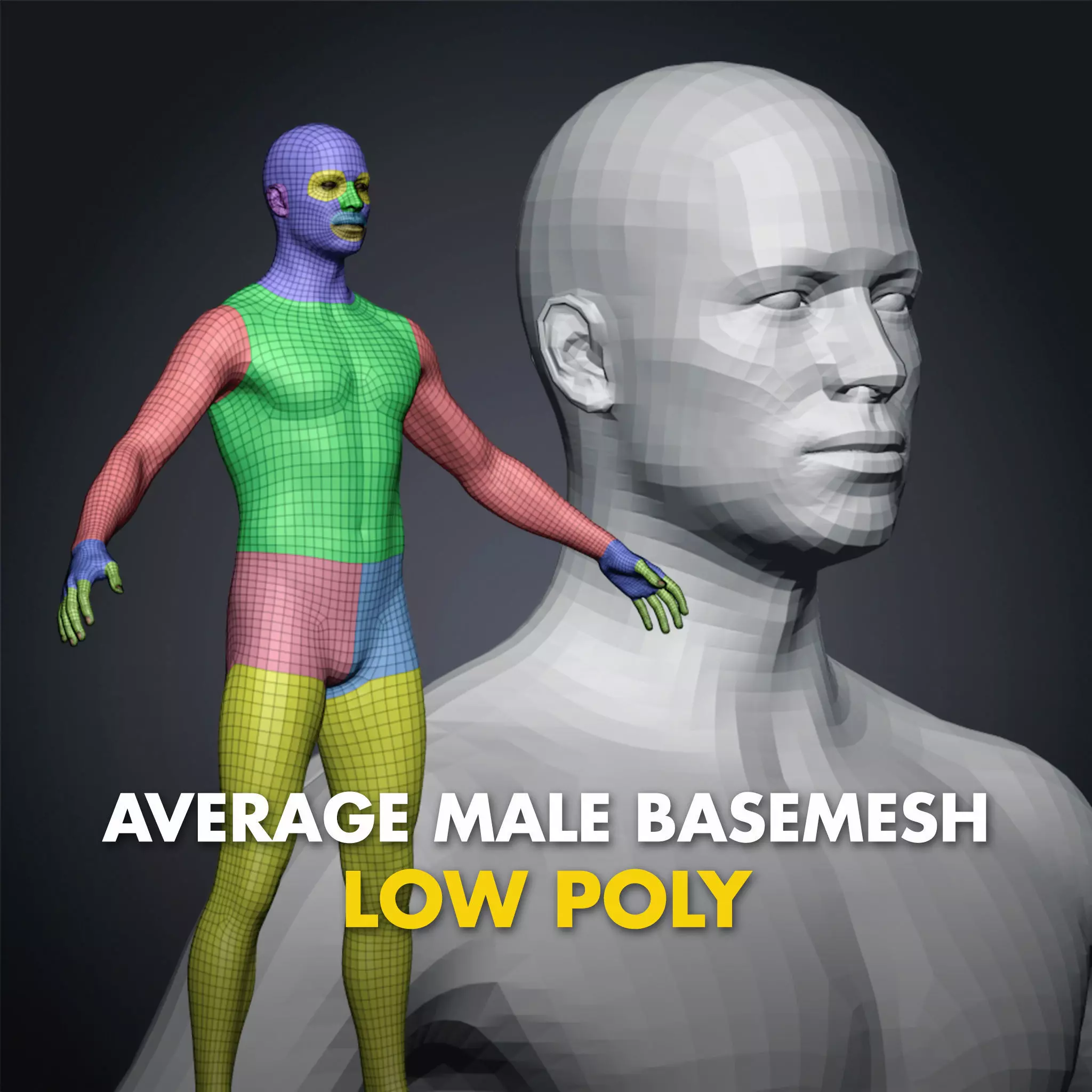 Average Male Body Low Poly Basemesh 3D model_0