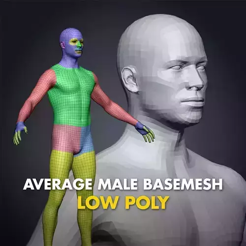 Average Male Body Low Poly Basemesh 3D model