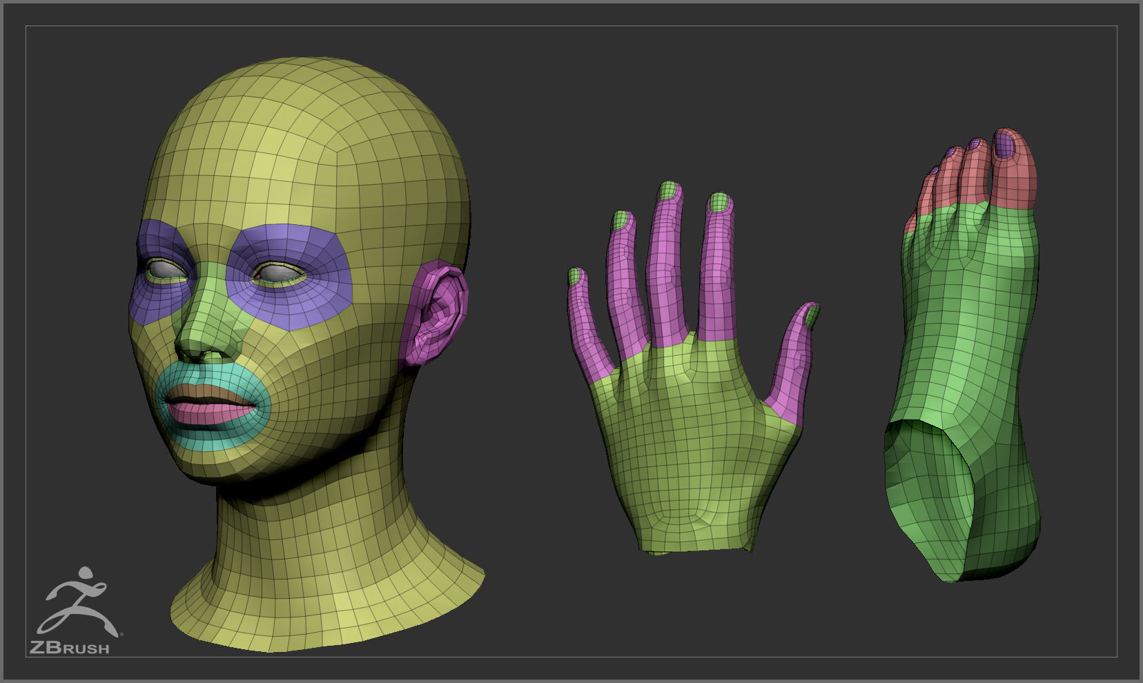 Average Body Low Poly Basemesh Collection _6