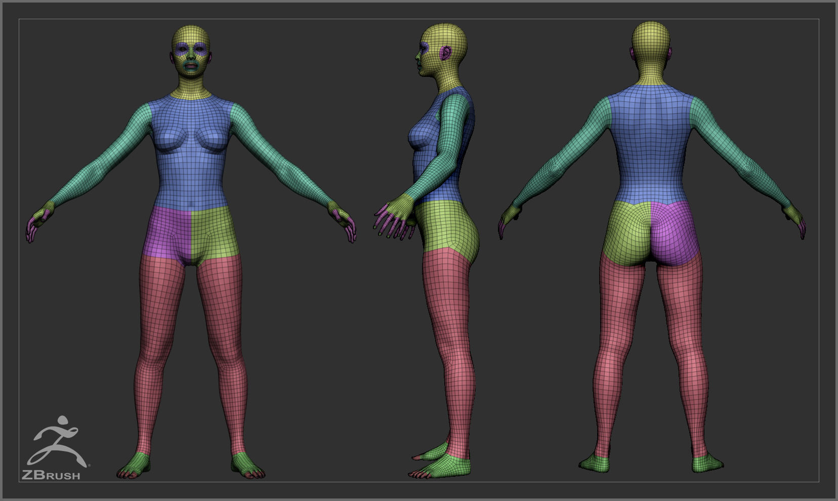 Average Body Low Poly Basemesh Collection _15
