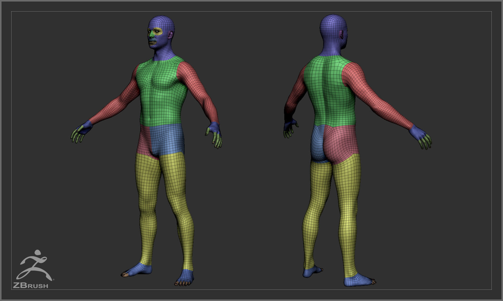 Average Body Low Poly Basemesh Collection _2
