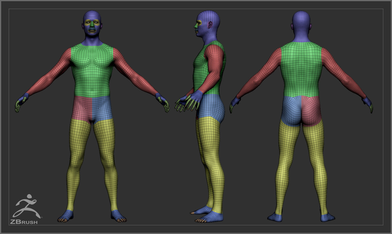 Average Body Low Poly Basemesh Collection _1