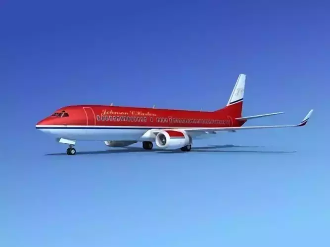 Boeing 737-800 Johnson Charter