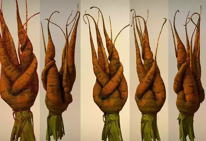 Old carrot 03 Low-poly 3D model
