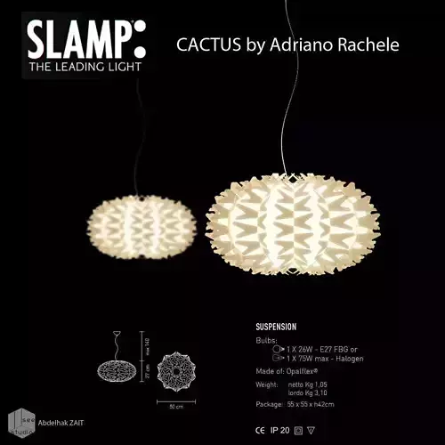Cactus slamp suspension 3D model