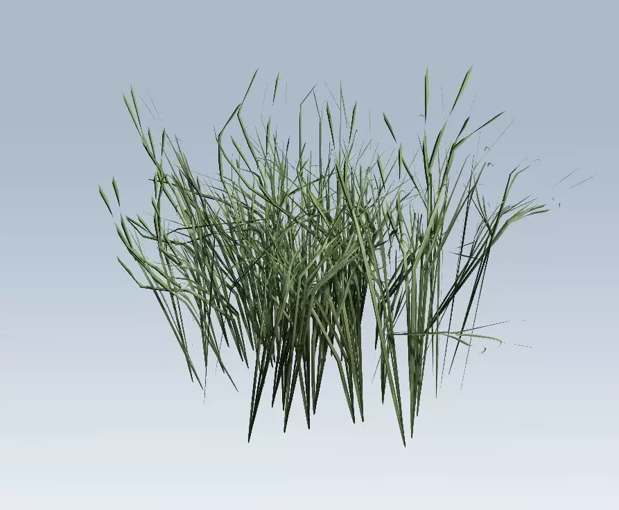 Grass 3D model