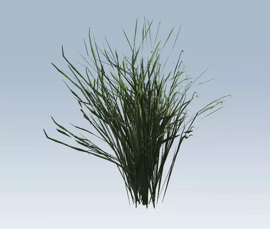 Grass Low-poly 3D model