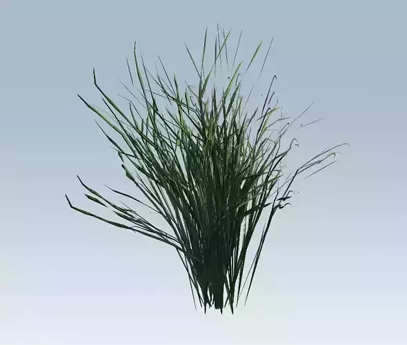 Grass  Low-poly 3D model