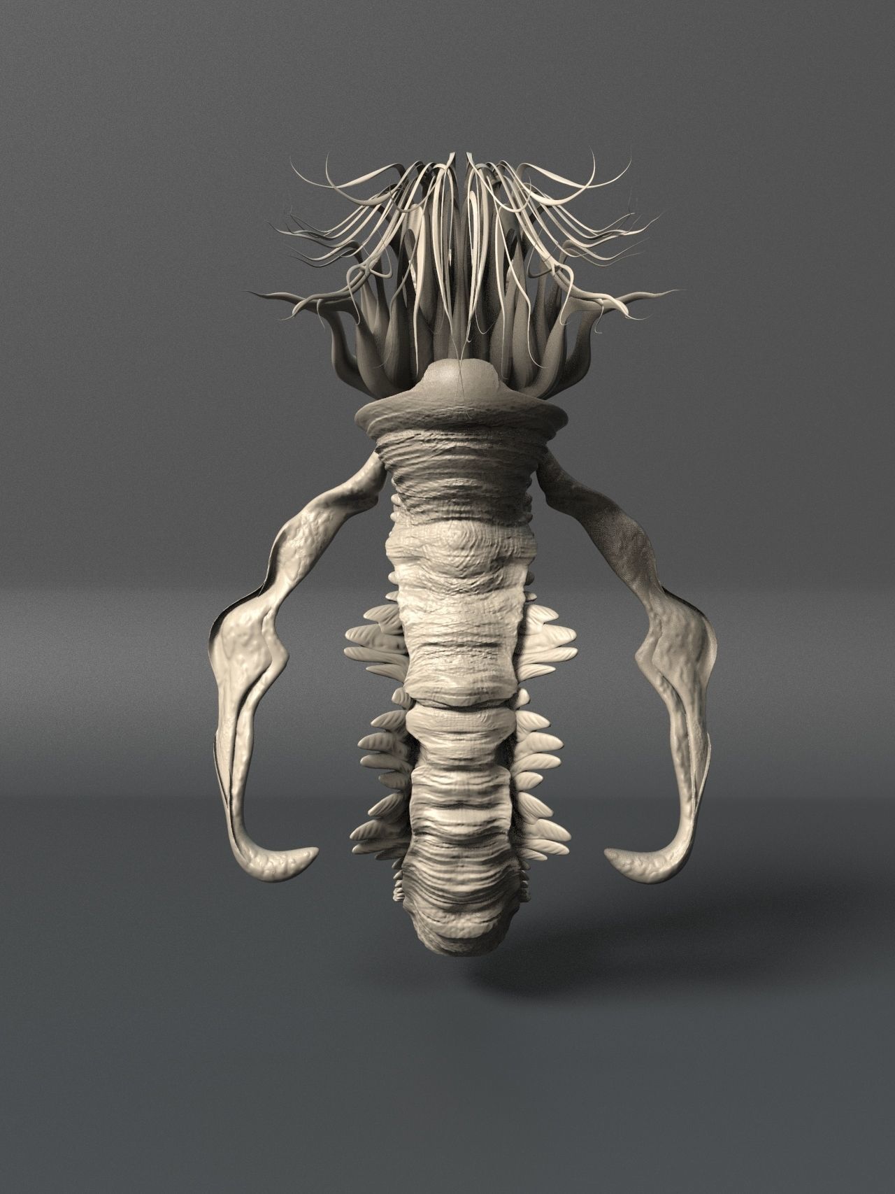 Sea Creature - Highpoly   3D model_6