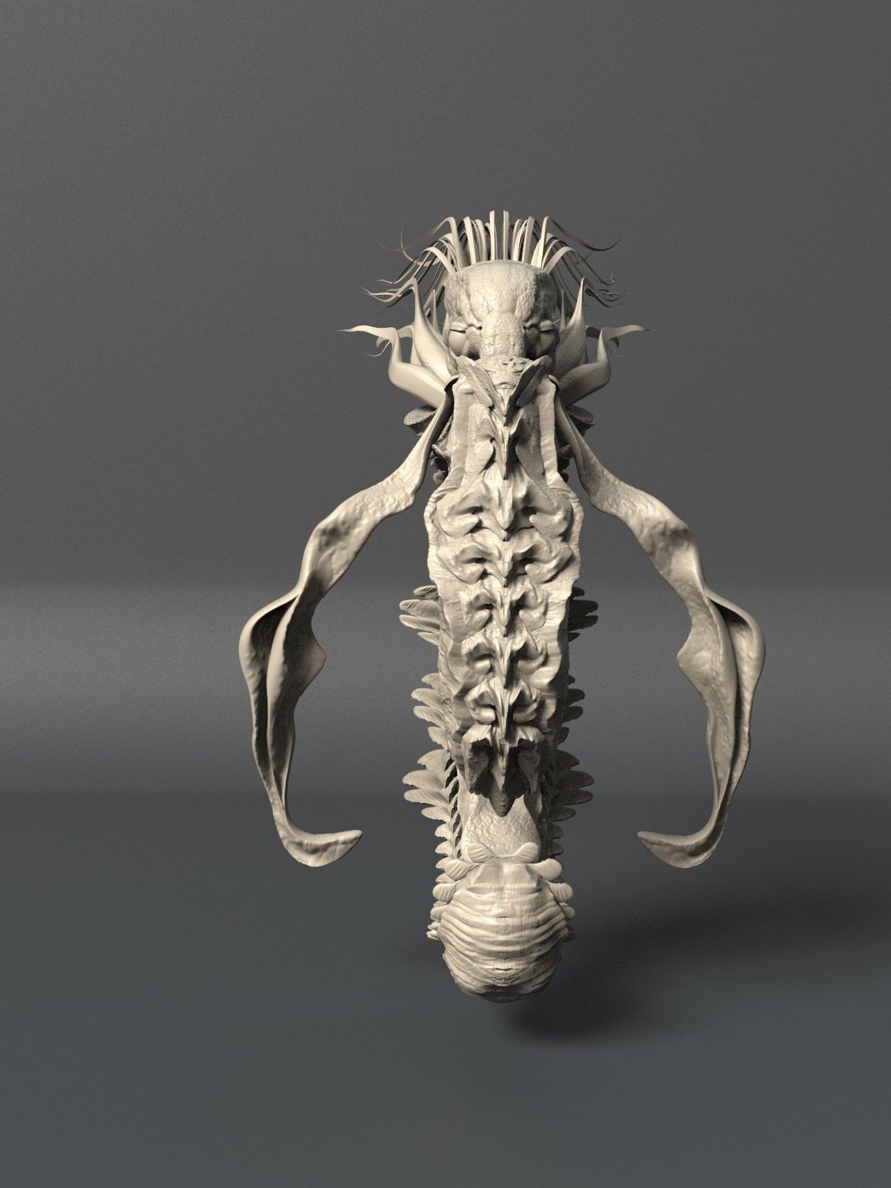 Sea Creature - Highpoly   3D model_4