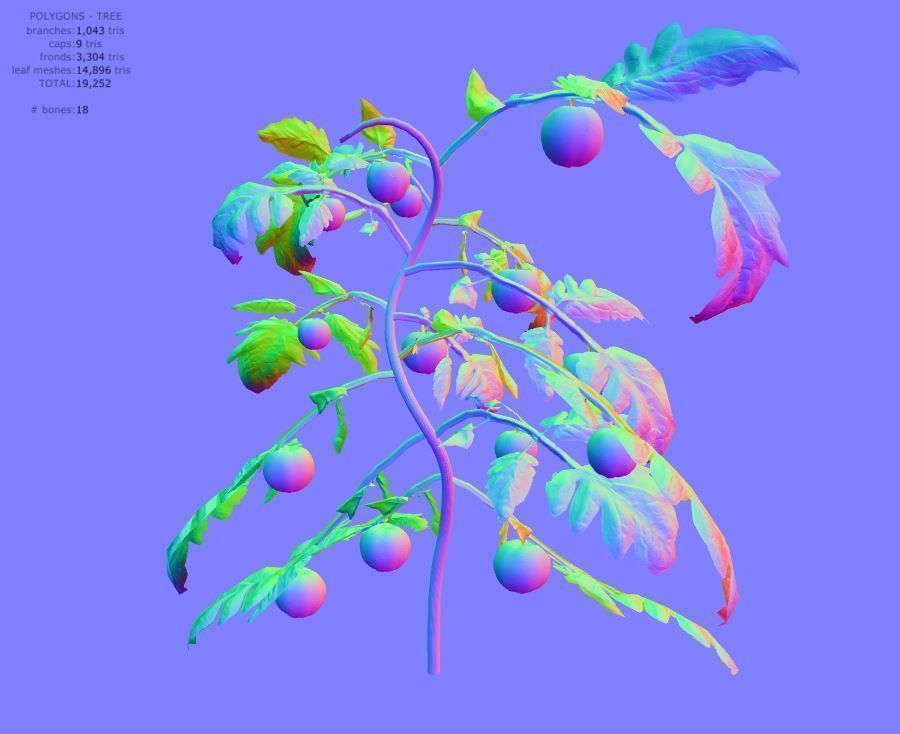 Tomato 3D model_10
