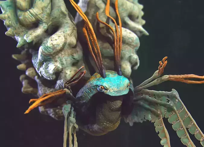 Sea Creature - Highpoly