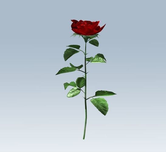 Red rose Low-poly 3D model