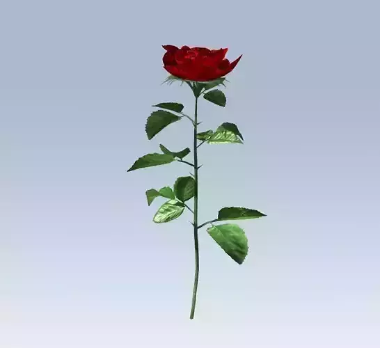 Red rose Low-poly 3D model