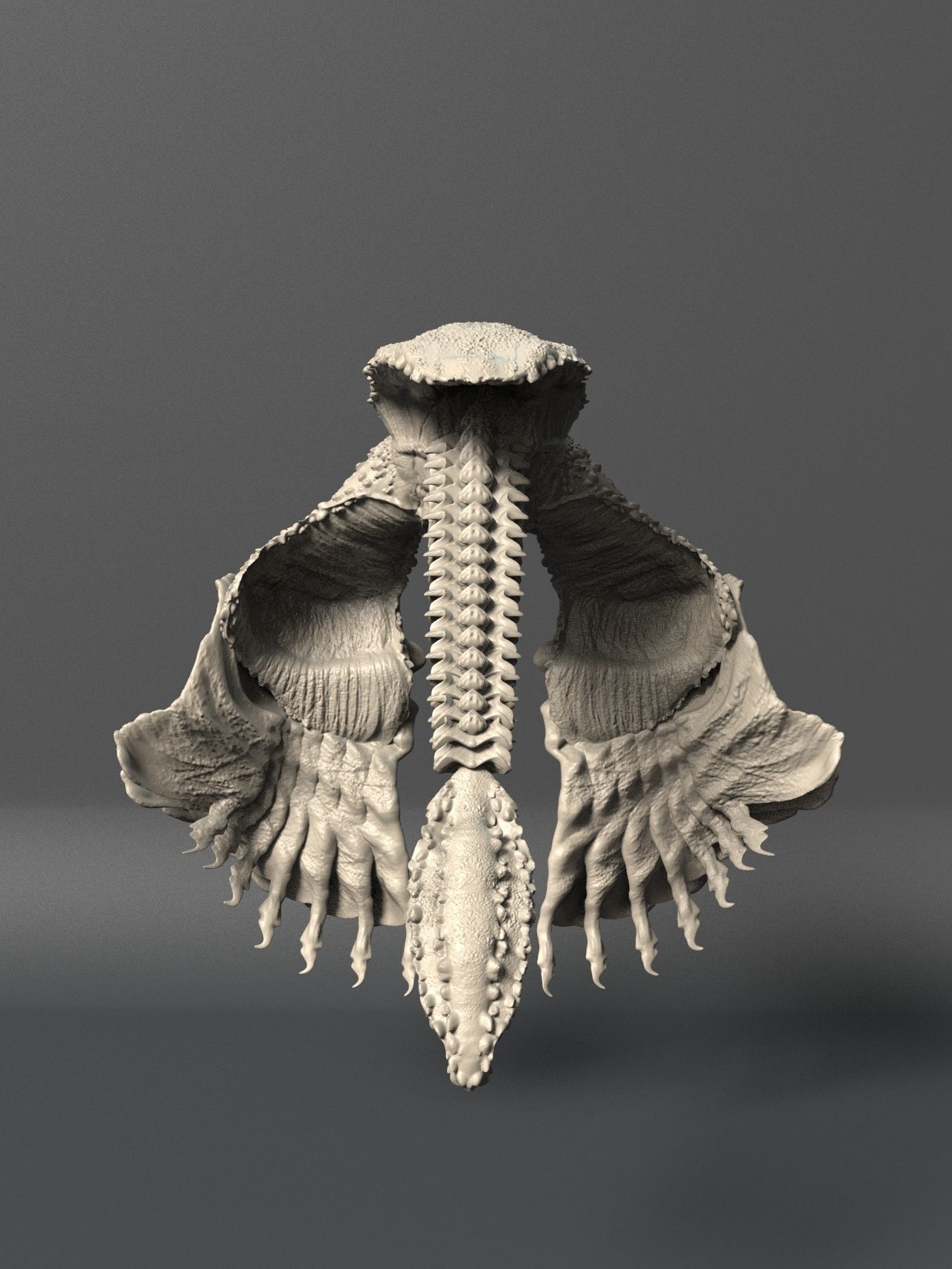Volume 1 Sea Creatures  - Highpoly 3D model_13