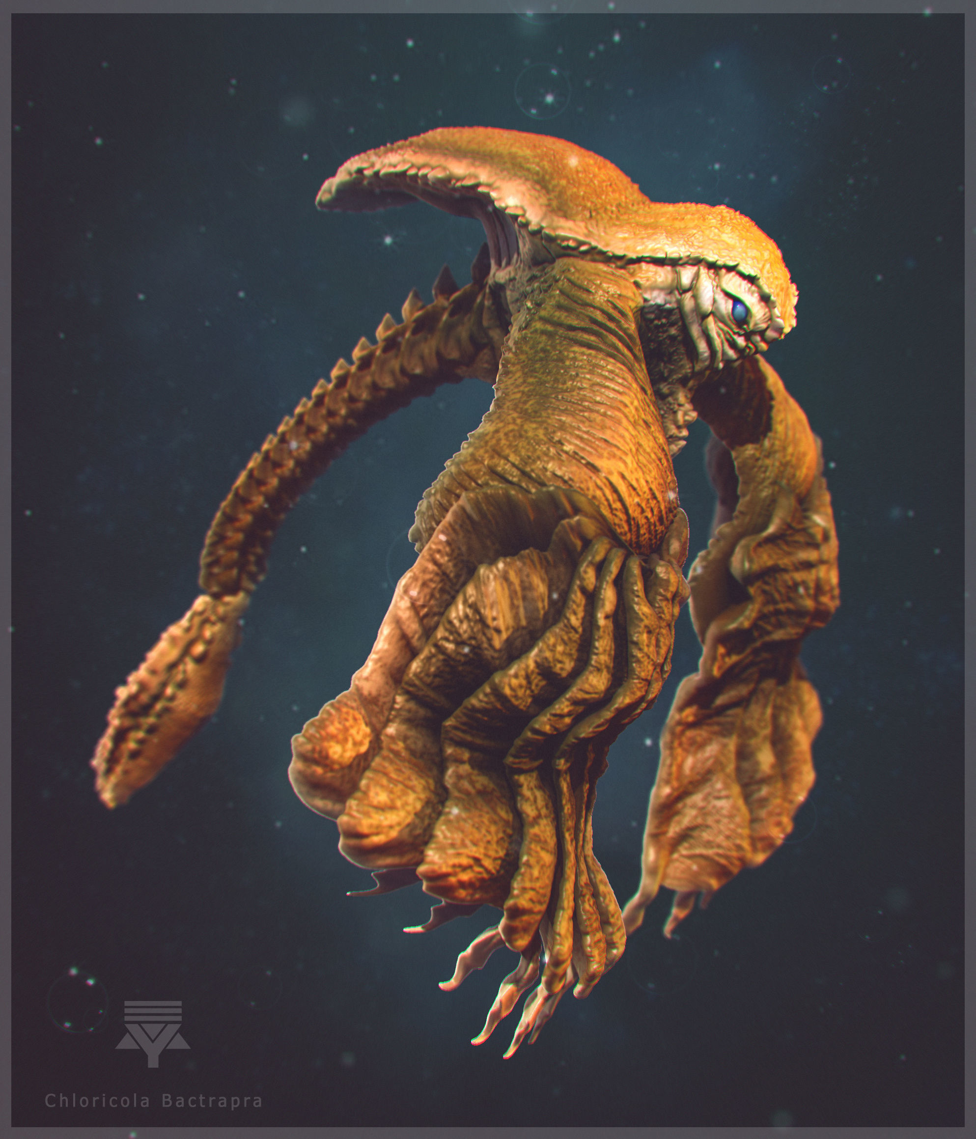 Volume 1 Sea Creatures  - Highpoly 3D model_3