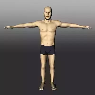 Male White 3D model