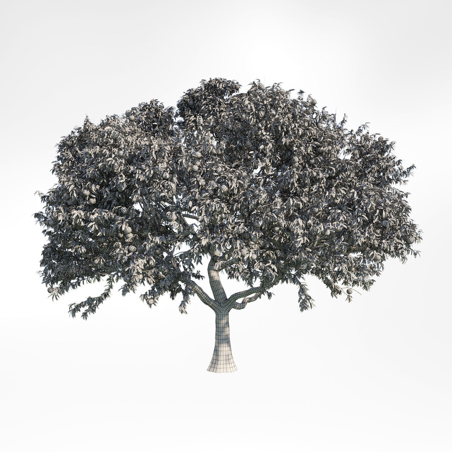 PeachTree 3 orange tree 3D model_1