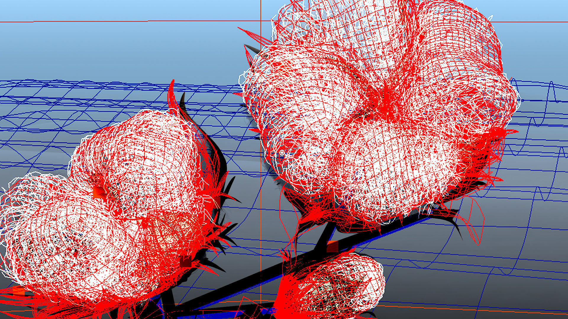 Cotton plant in desert 3D model_8