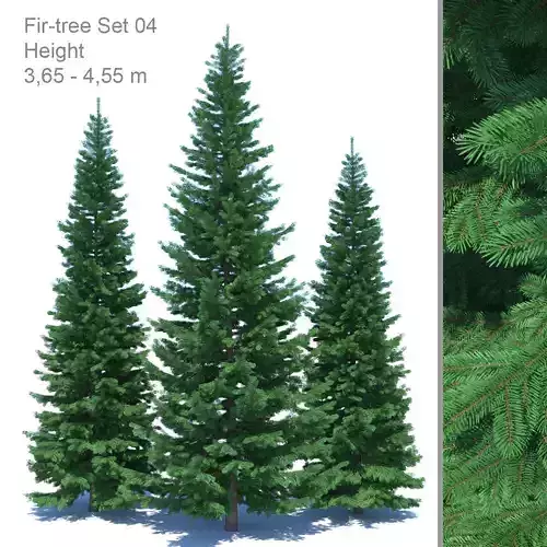 Fir-tree Set 04 3D model