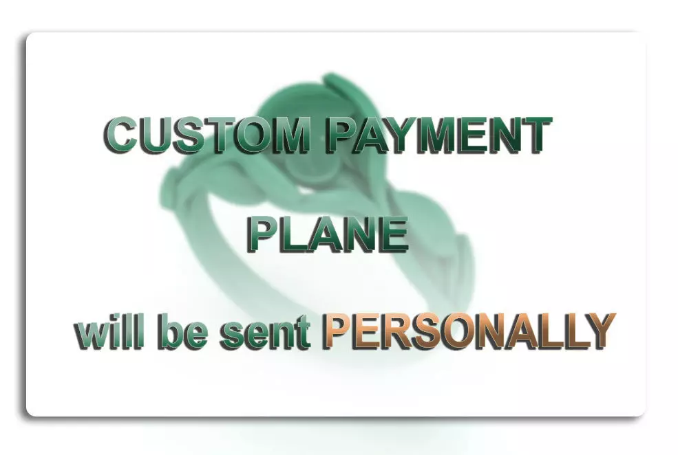 Custom Order  CUSTOM PAYMENT PLANE 3D print model_0