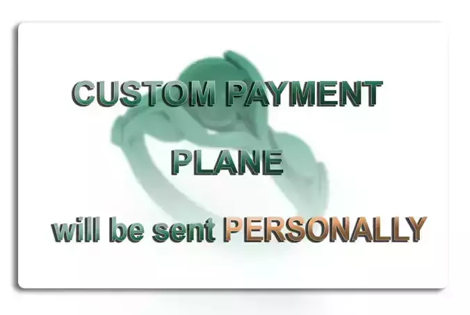 Custom Order  CUSTOM PAYMENT PLANE