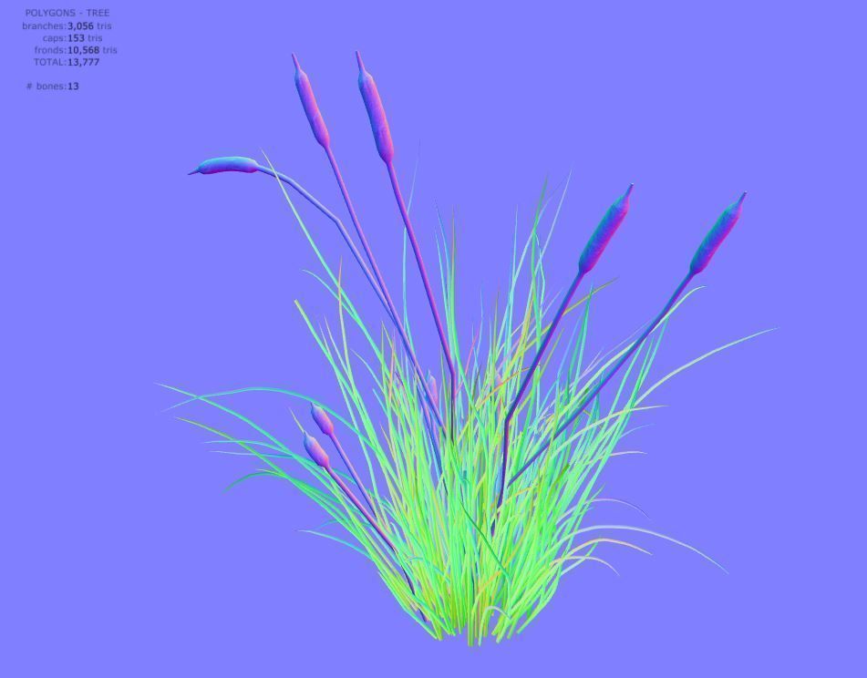 Cattail Low-poly 3D model_13