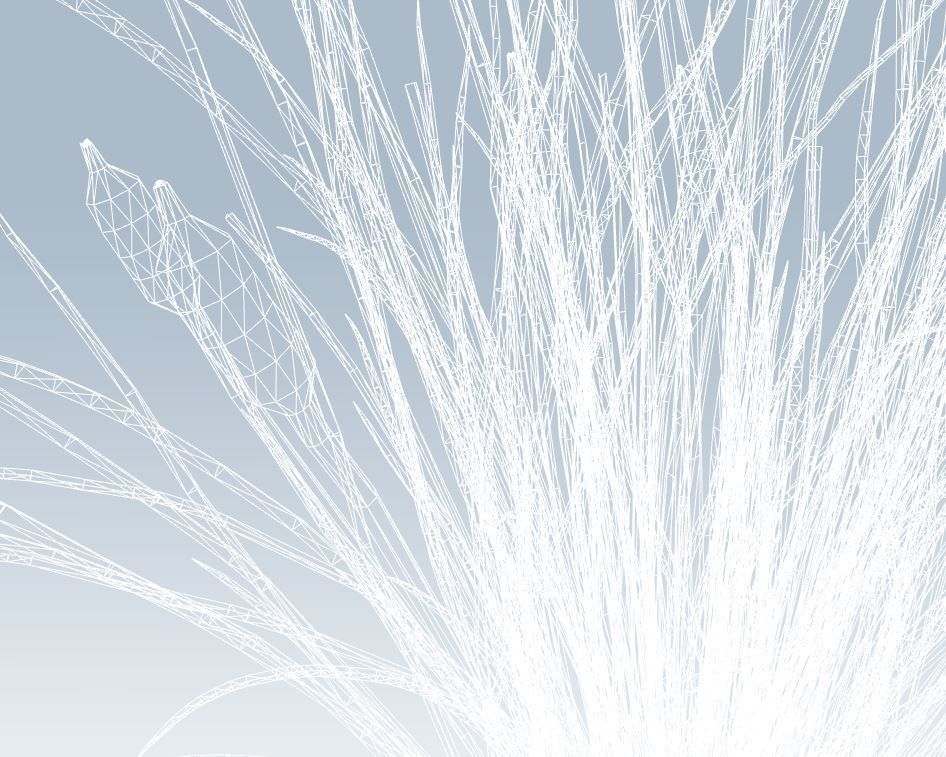 Cattail Low-poly 3D model_11