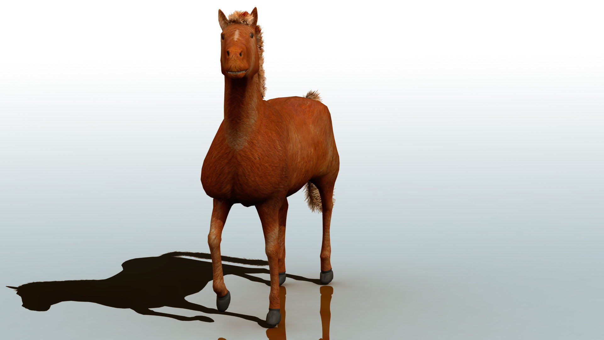 Horse 3D model_4