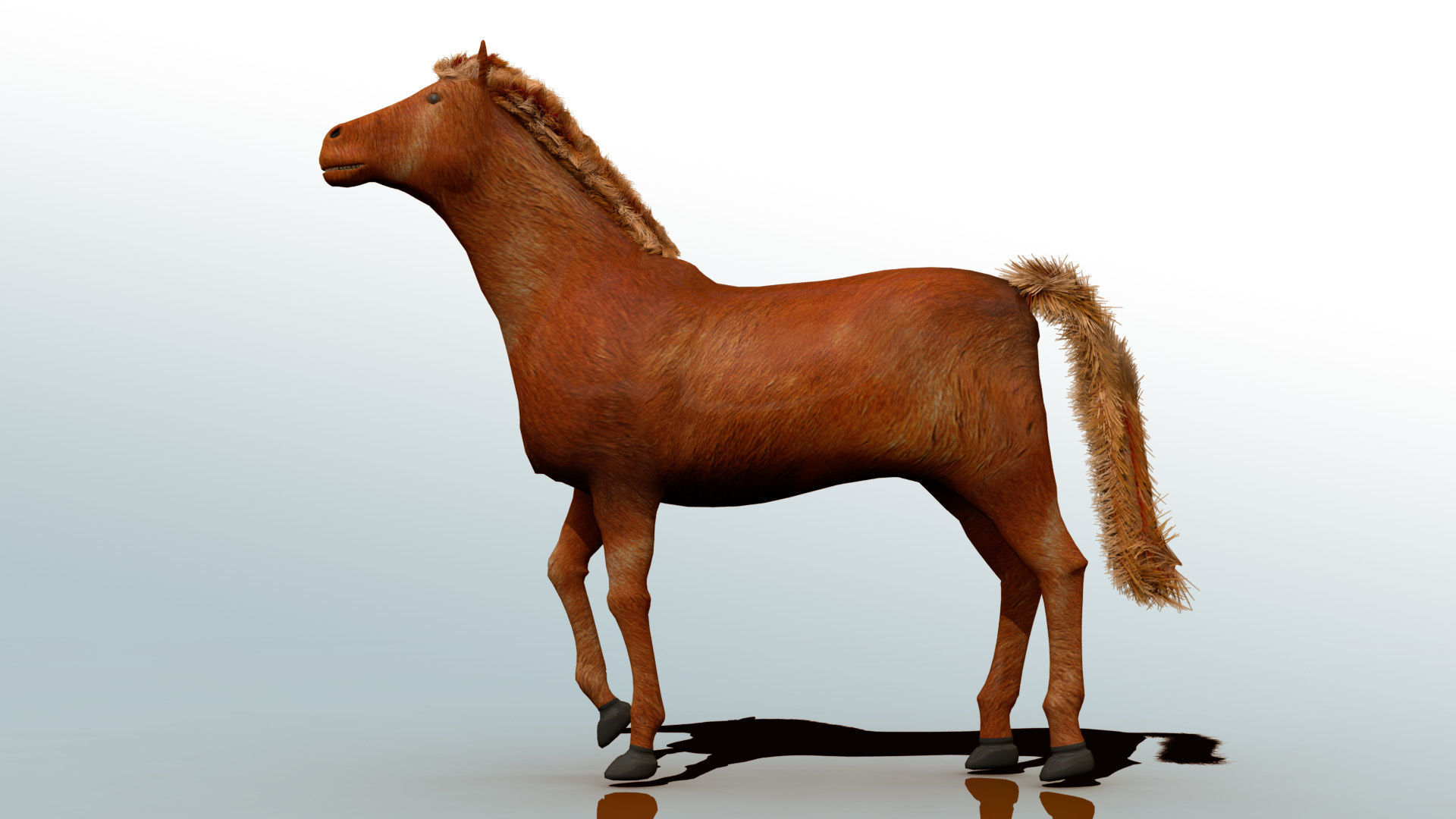 Horse 3D model_6