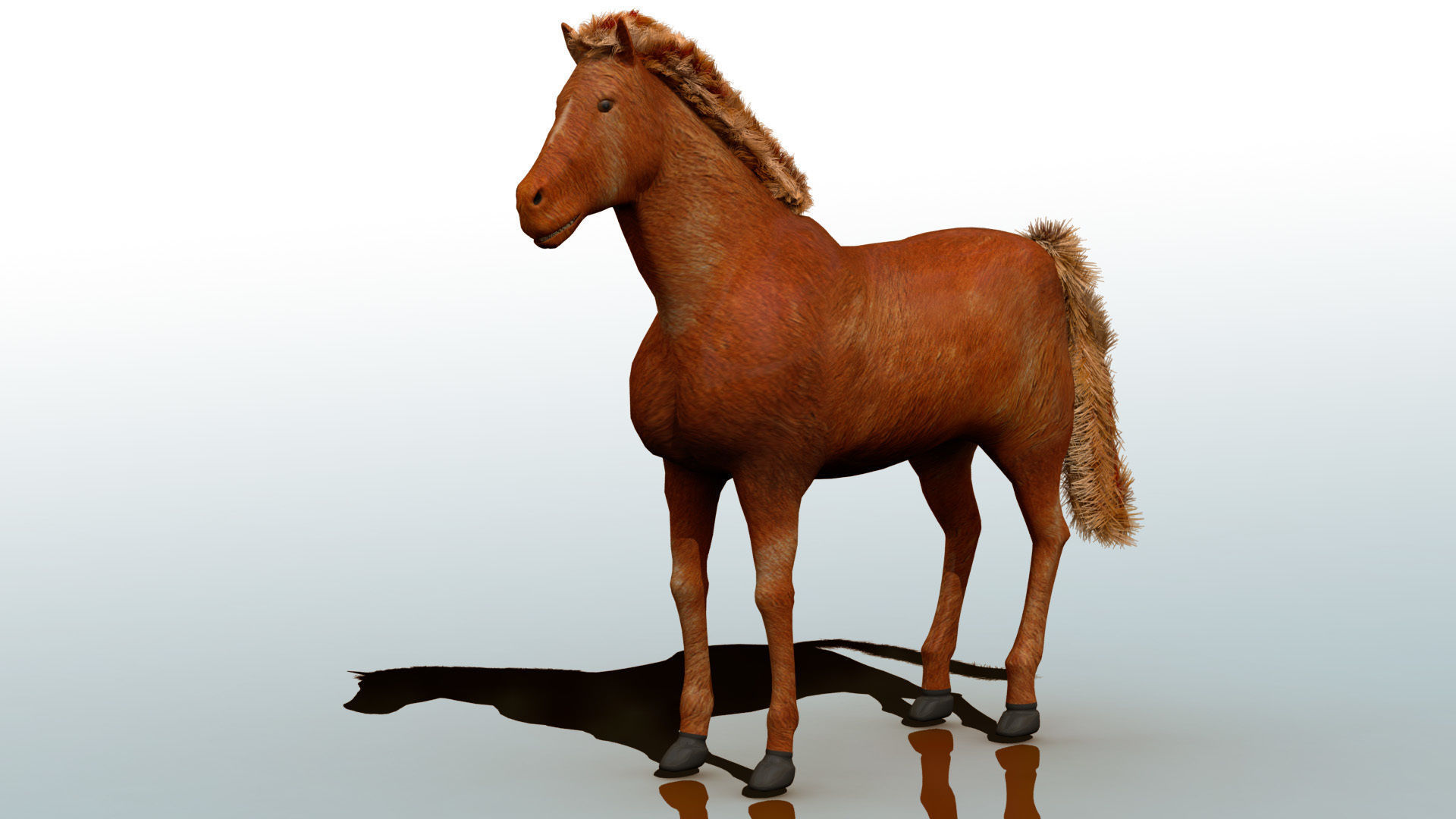 Horse 3D model_3