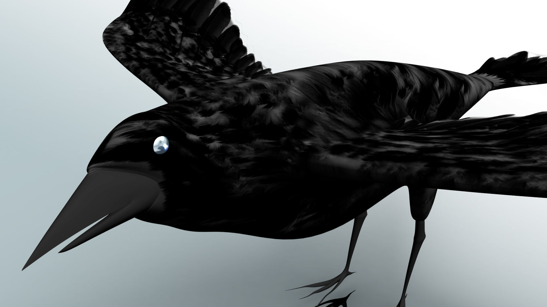 Black Cow 3D model_1