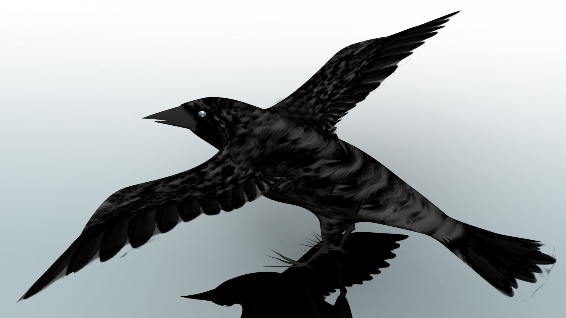 Black Cow 3D model_9