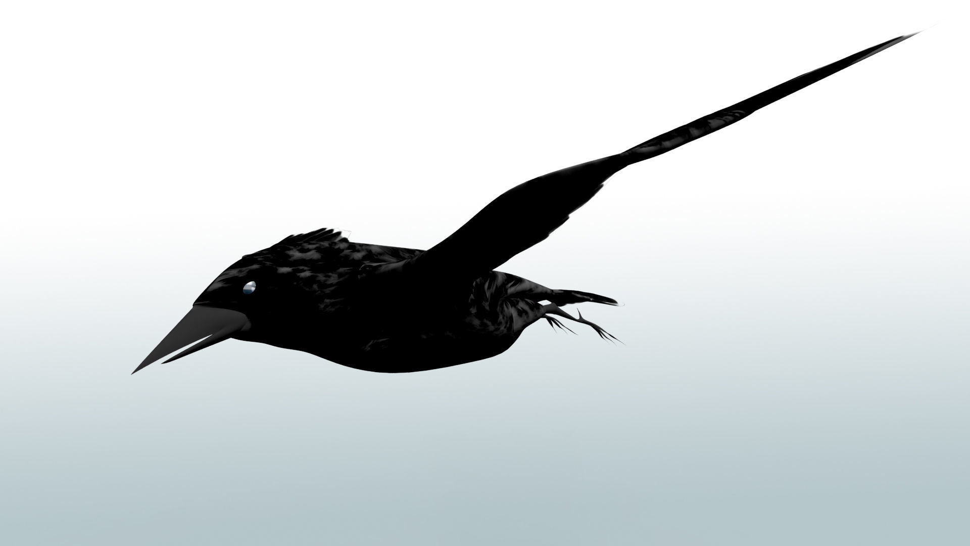 Black Cow 3D model_2