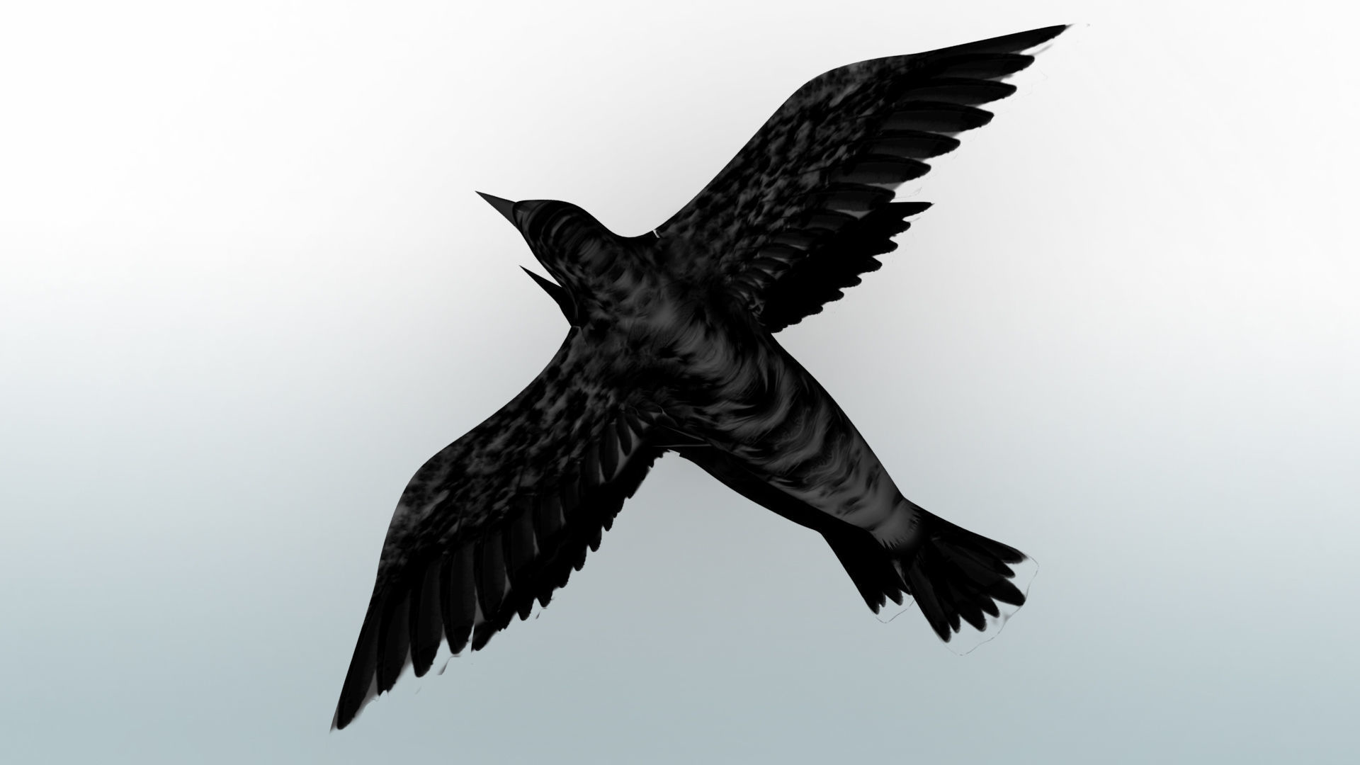 Black Cow 3D model_8