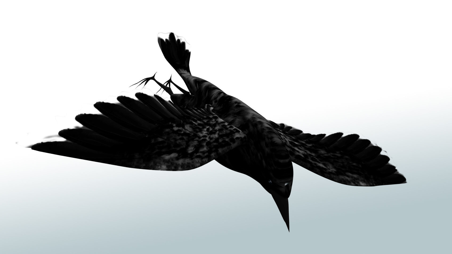 Black Cow 3D model_3