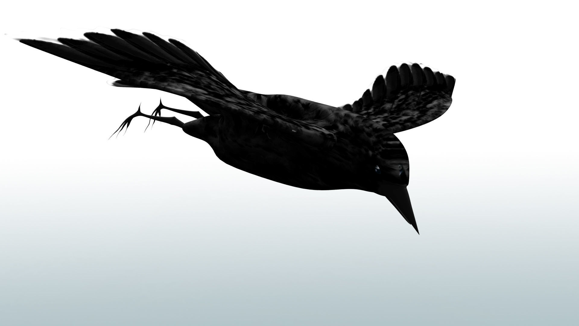 Black Cow 3D model_4