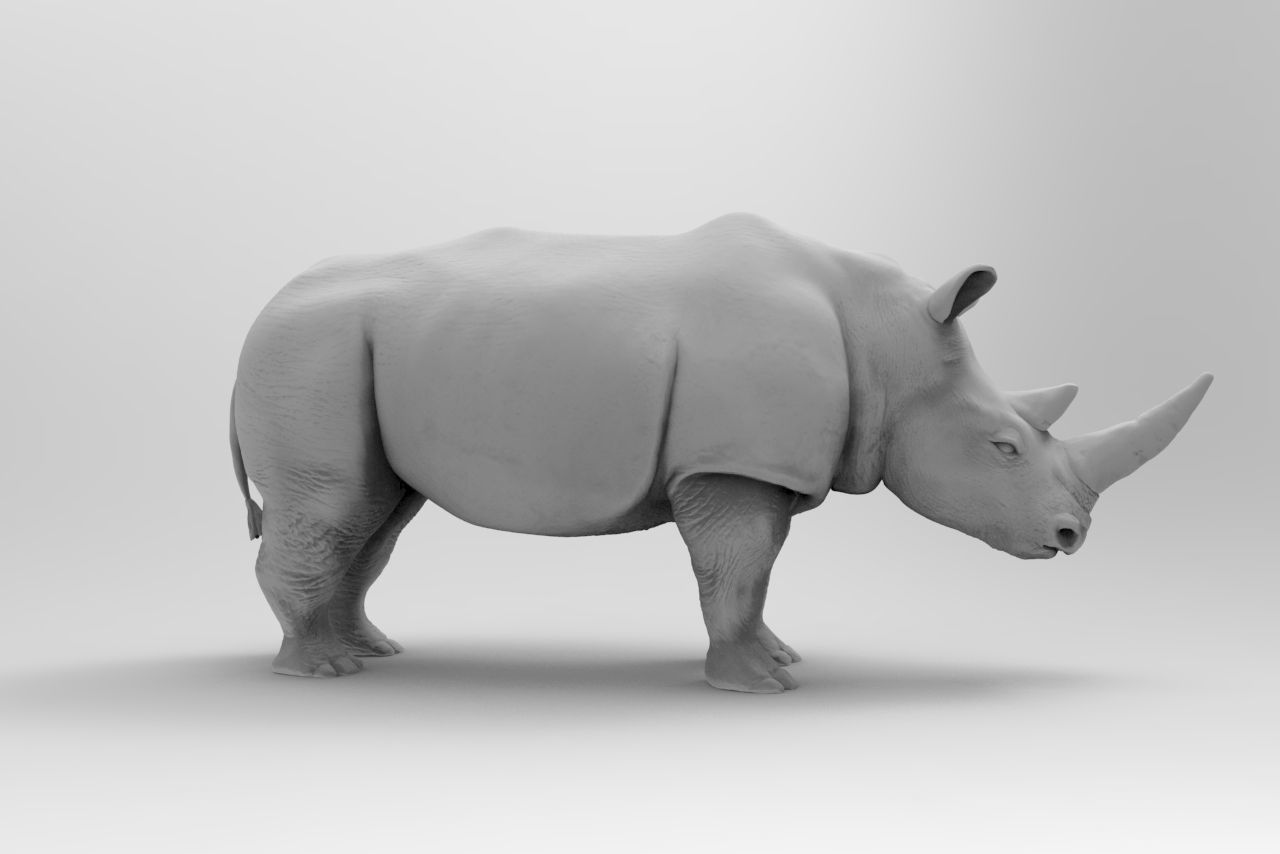 Rhinoceros 3D print model_1