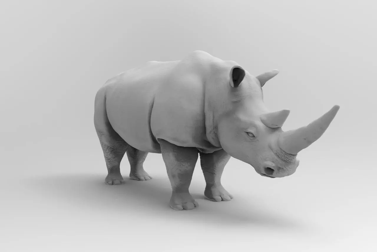 Rhinoceros 3D print model_0